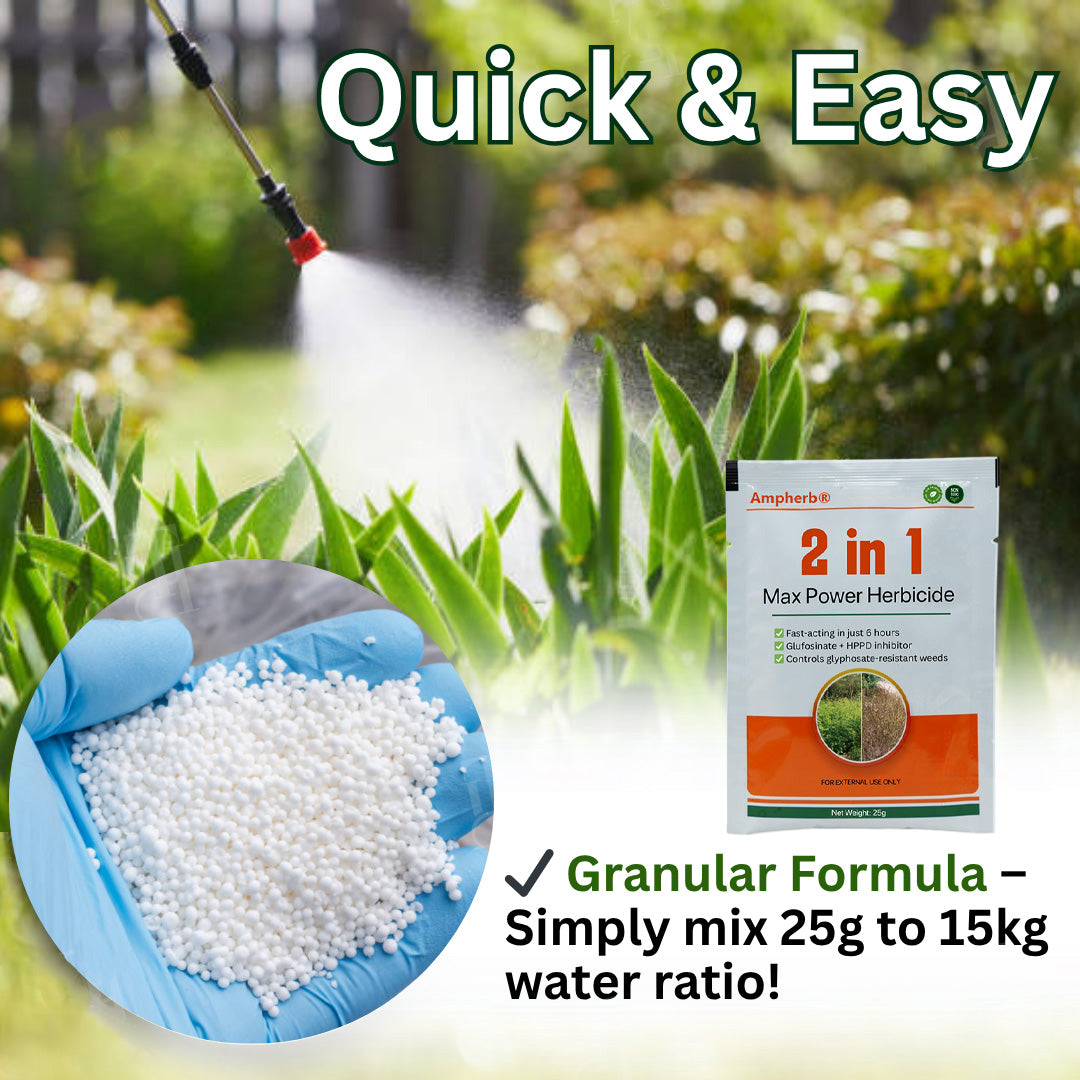 Ampherb® 2 in 1 Max Power Herbicide (𝟟𝟘% 𝕆𝔽𝔽 𝗘𝗡𝗗𝗦 𝗜𝗡 𝟭𝟬 𝗠𝗜𝗡𝗨𝗧𝗘𝗦)